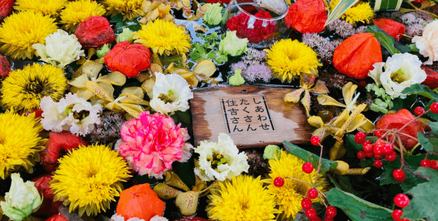 住吉神社の花手水