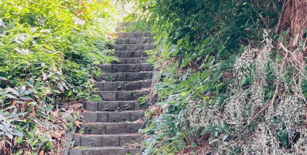 住吉神社の脇道