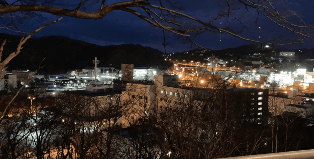 室蘭八幡宮からの夜景