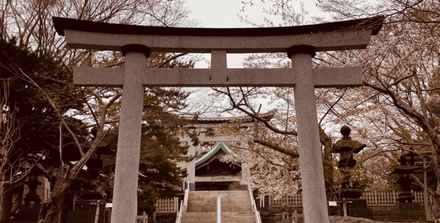 桜の室蘭八幡宮