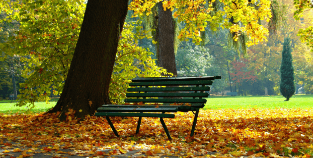 紅葉が美しい公園