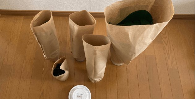 紙で保護されたおすすめセット（観葉植物）