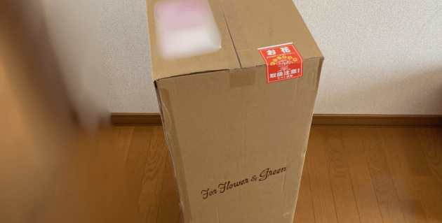 観葉植物おすすめセットの箱