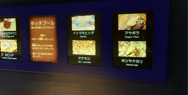 タッチプールの表示
