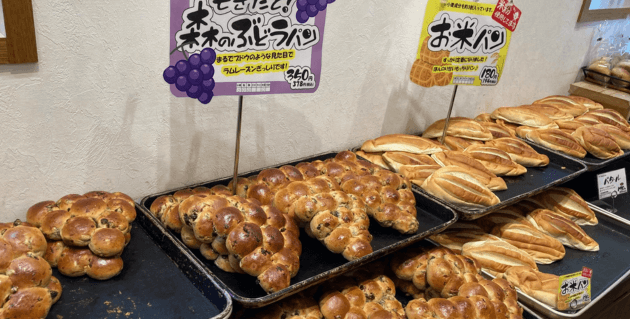 どんぐりの商品棚