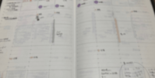 スカスカの手帳