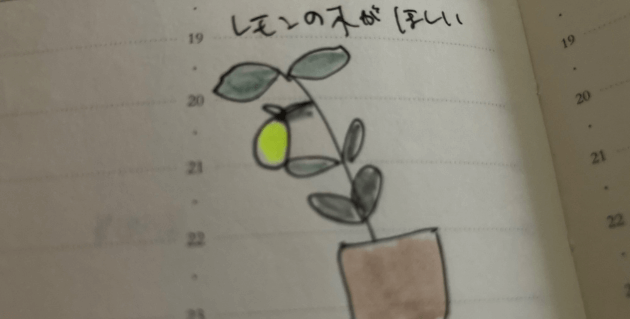 レモンの木のイラスト