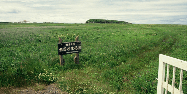北方原生花園